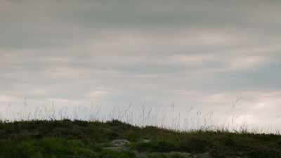 I've tried to keep my eyes
riveted on the facts, - Sophie: A Murder in West Cork