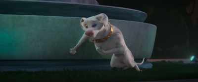 I've, uh, I've never
really run before. [PANTING] - DC League of Super Pets