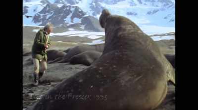 I've visited the polar regions
over many decades. - David Attenborough: A Life on Our Planet