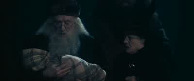 I've watched them all day. - Harry Potter and the Philosopher's Stone