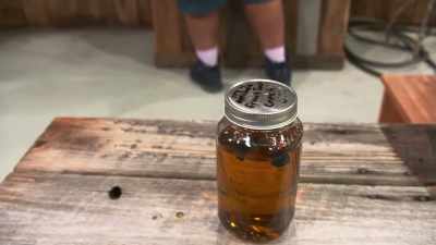 Ivy's is definitely closer to
probably about our 3-year-old. - Moonshiners: Master Distiller