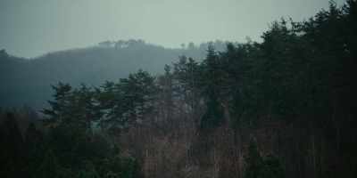 Iwate is where Sasaki's family
have lived for generations. - Chef's Table: Pizza