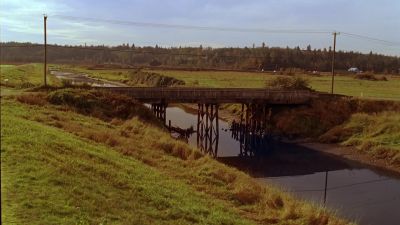 J“ you don't know what it's been like j“ - Smallville