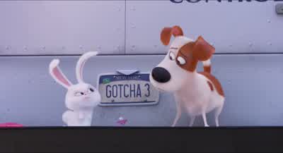 Jab, jab, jab! - The Secret Life of Pets