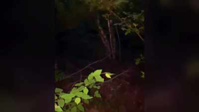 [Jack] And this was
later that night. - The Osbournes Want to Believe