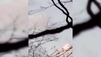 [Jack] And if you look right
through those branches, - The Osbournes Want to Believe