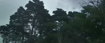 JACK: Elmont, come on. - Jack the Giant Slayer