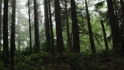 [Jack] Have you spent your
whole life looking for Bigfoot? - The Osbournes Want to Believe
