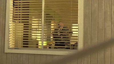 Jack! He's out the window! I see him! - 24