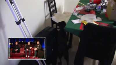 [Jack] It's not the dog's
shadow. Nothing is moving. - The Osbournes Want to Believe