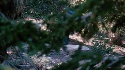 Jack... Jack... - The Forest