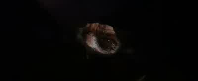 JACK: Run! - Jack the Giant Slayer