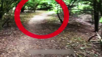 [Jack] Tree man? - The Osbournes Want to Believe
