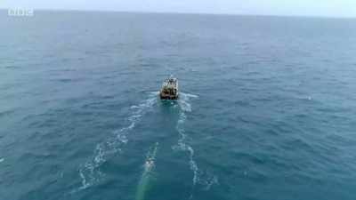 Jack's on a roll. - Cornwall: This Fishing Life