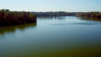 Jackson County, Florida
investigator Cheree Edwards - Floribama Murders