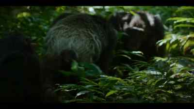 Jackson has Miles behind him. - Chimp Empire