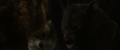 Jacob imprintedThey can't hurt herWhoever a wolf imprints on can't be harmedIt's their most absolute law - The Twilight Saga: Breaking Dawn - Part 1