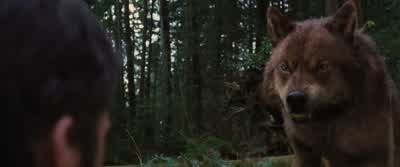 JACOB: Look, I solved a problem. - The Twilight Saga: Breaking Dawn   Part 2