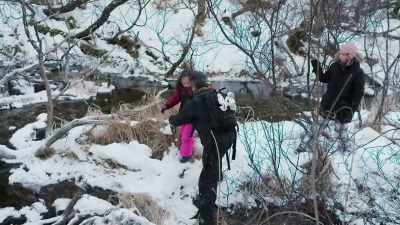 JACQUELINE: But now we're
identifying different trees and - Life Below Zero: First Alaskans