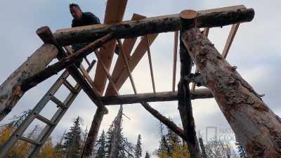 Jacqueline definitely
thinks I'm more dangerous
than I need to be, - Life Below Zero: First Alaskans