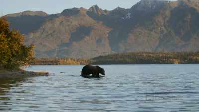 JACQUELINE: I'm gonna be really
mad if Fred eats our fish. - Life Below Zero: First Alaskans