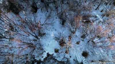 JACQUELINE: Someone, yeah.
I would've fallen in. - Life Below Zero: First Alaskans
