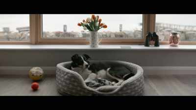 Jade. Jade!
Do you wanna go walkies? - Billy & Molly: An Otter Love Story
