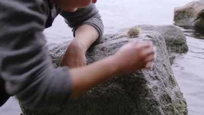 JADE: (laughs) - Chefs vs Wild