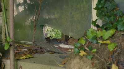 [Jaega] Smashed windows,
peeling paint,
cracked concrete, - Mysteries of the Abandoned