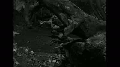 Jag är rädd för att dö! - The Seventh Seal