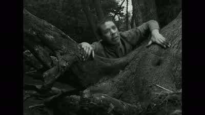 Jag har pesten! - The Seventh Seal