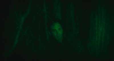 - Jaime. Stay close.
- What? - The Devil Below