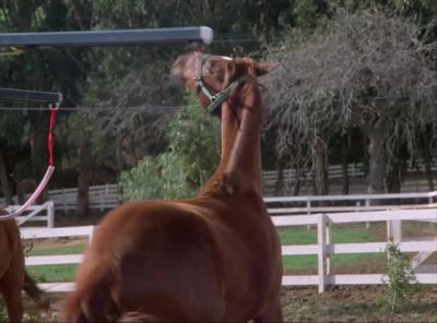 -Jake, get the extinguishers. - The A-Team