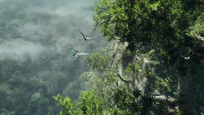 I was a stone-cold aerial hunter. - Avatar