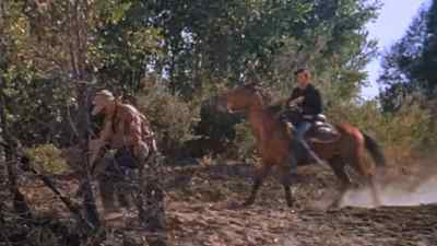 Jam a log between those trees! - Friendly Persuasion