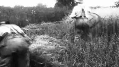 ‐ [James] Farm labor was
incredibly challenging work - The Machines That Built America
