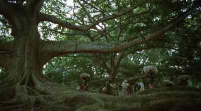 (James)
'Hurry on! We're moving out.' - Tarzan the Ape Man