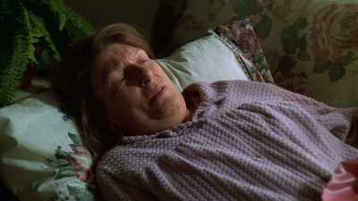 [James] They're a lot alike. - Wise Guy: David Chase and The Sopranos