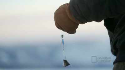 JAMEY: I need a stick
split back there, - Life Below Zero: First Alaskans