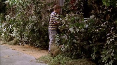 Jamie, come back! - Malcolm in the Middle