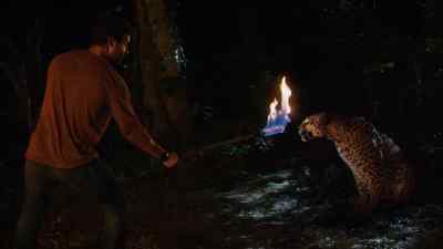 Jamie, those glow sticks you have. - Zoo