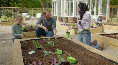 [Jamila]
And you can pull beets - Homegrown