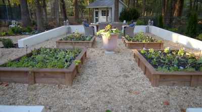 [Jamila] And to make sure
these plants thrive - Homegrown