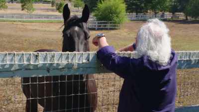 JAN:
I can admit to you that... - David Crosby: Remember My Name
