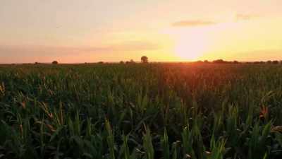 JANDIAL: All of a sudden, - Origins: The Journey of Humankind