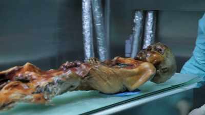JANDIAL: Otzi Man was
found face-down - Origins: The Journey of Humankind