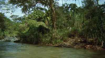 (Jane)
'May we stop, please?' - Tarzan the Ape Man