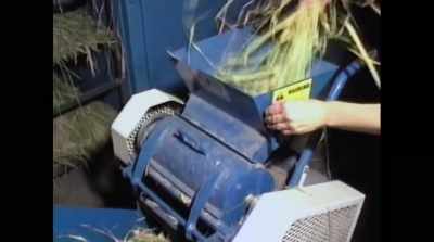Jane Pointer put her hand
into a grain threshing machine - Spaceship Earth