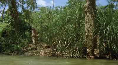 Jane. - Tarzan the Ape Man