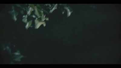 Janelle looked out her window
and closed the shutters. - I'll Be Gone in the Dark